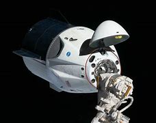 Image result for SpaceX Crew-8