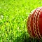 Image result for Free Cricket Designs