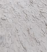 Image result for Tree Bark Texture Drywall