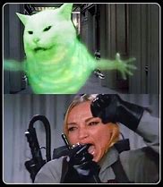 Image result for Swag Cat Meme
