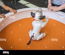 Image result for Aibo Flying