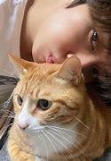 Image result for Lee Know with His Cats