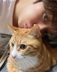 Image result for Stray Kids Lee Know Cats