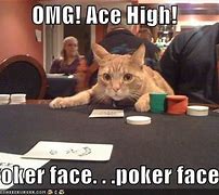 Image result for Poker Face Cat Meme