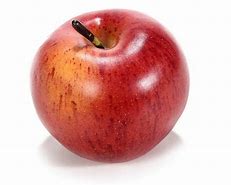 Image result for Fake Plastic Sliced Apples