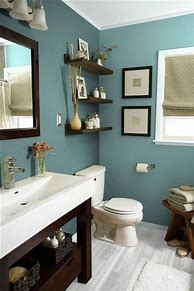 Image result for Bathroom Decorating Ideas With