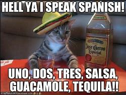 Image result for Funny Spanish Cat Memes