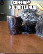 Image result for Coffee Cat Meme