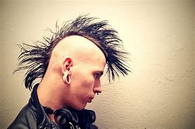 Image result for Punk for a Day