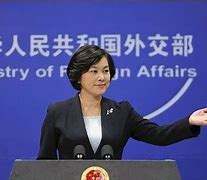 Image result for 女发言人