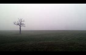 Image result for Spooky Field Pxhere