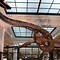 Image result for National Museum of Nature and Science Ueno Japan
