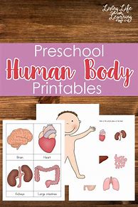 Image result for My Body Preschool Theme Printables