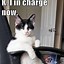 Image result for Animal Meme Pictures