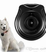 Image result for IP 6 for Dogs