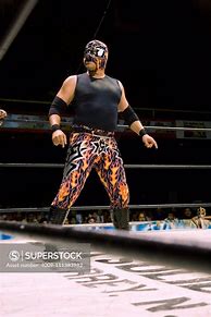 Image result for Mexican Wrestling Costume