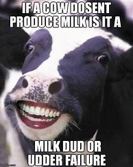 Image result for Dairy Cow Meme