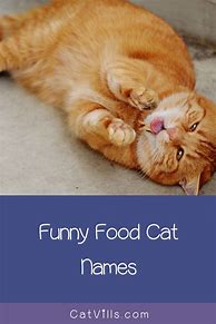 Image result for fun male cats name foods