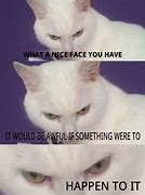 Image result for White Cat What Meme