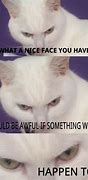 Image result for Weird White Cat Meme