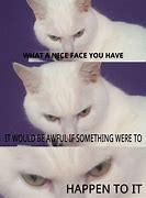 Image result for White Cat Why Meme