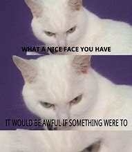 Image result for Weird White Cat Meme