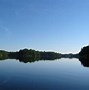 Image result for Fish Buck Lake Ontario