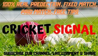 Image result for Cricket Signals 18