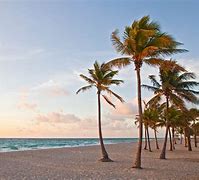 Image result for Beach Vacation Photos
