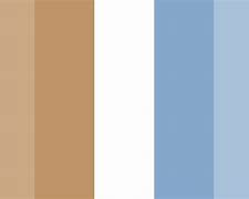 Image result for Blue and Brown Color Palette