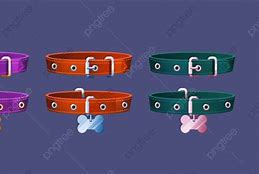 Image result for Dog Clip Clasp