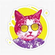 Image result for Cool Cat with Sunglasses Meme