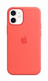 Image result for iPhone 12 Mini Cases Apple