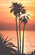 Image result for Palm Sunset Wallpaper