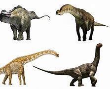 Image result for What Is the Biggest Animal in the World in History