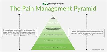 Image result for Drug Veterinary Pyramid