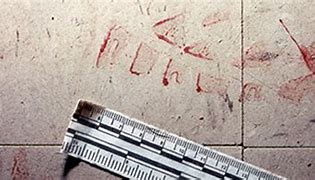 Image result for Bloody Shoe Print On Floor
