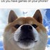 Image result for Funniest Dog Memes