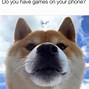 Image result for healthy dogs meme funniest