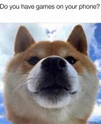 Image result for dogs meme instagram
