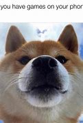 Image result for What Dog Meme