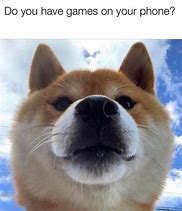 Image result for Dogs with iPhone Memes