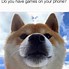 Image result for Animals Memes Dog