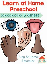 Image result for My Five Senses Preschool Lesson Plans
