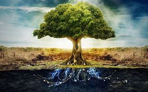 Image result for Free Tree of Life