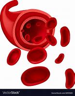 Image result for Blood Cell Symbol