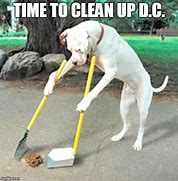 Image result for Dog Poop On Carpet Meme