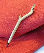 Image result for Chewed Stick Drawing