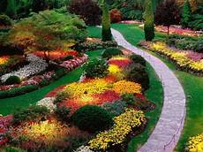 sempreverdi da giardino cespugli da giardino fioriti sempreverdi i nostri consigli sempreverdi da giardino cespugli da giardino fioriti sempreverdi i nostri consigli