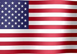 Image result for Animated United States Flag